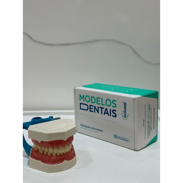 MANEQUIM ARTICULADO FLEX - P-OCLUSAL